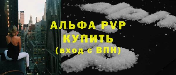 гашик Алексин