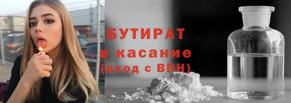 гашик Алексин