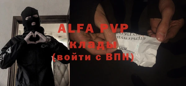 гашик Алексин