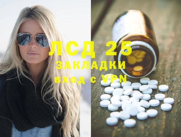 гашик Алексин