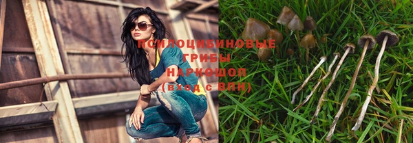 эйфоретик Алзамай