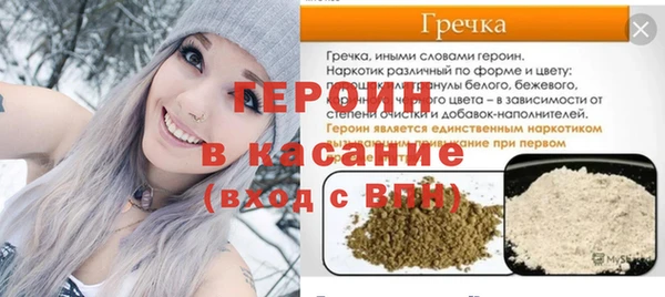гашик Алексин