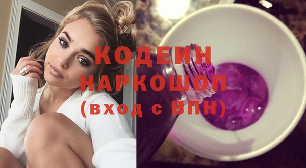 гашик Алексин