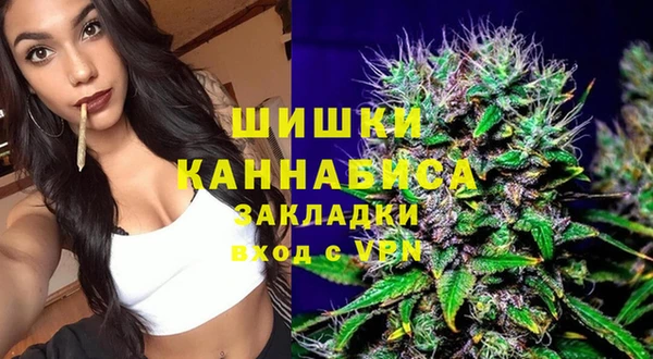эйфоретик Алзамай