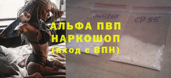 гашик Алексин