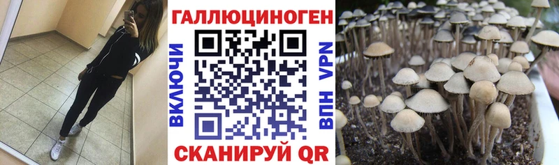 Псилоцибиновые грибы ЛСД  мориарти состав  Грязи  купить закладку 