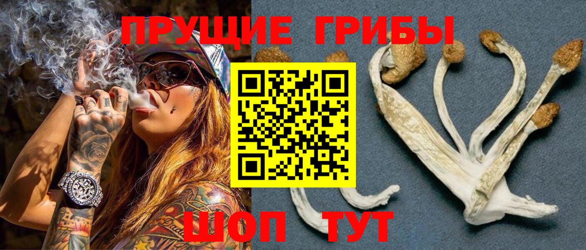 Галлюциногенные грибы ЛСД  Псилоцибиновые грибы MAGIC MUSHROOMS  Вход с VPN  Грязи 
