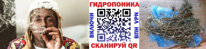 наркота  Грязи  Шишки марихуана OG Kush 